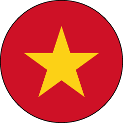 Traduttore Vietnamita Italiano